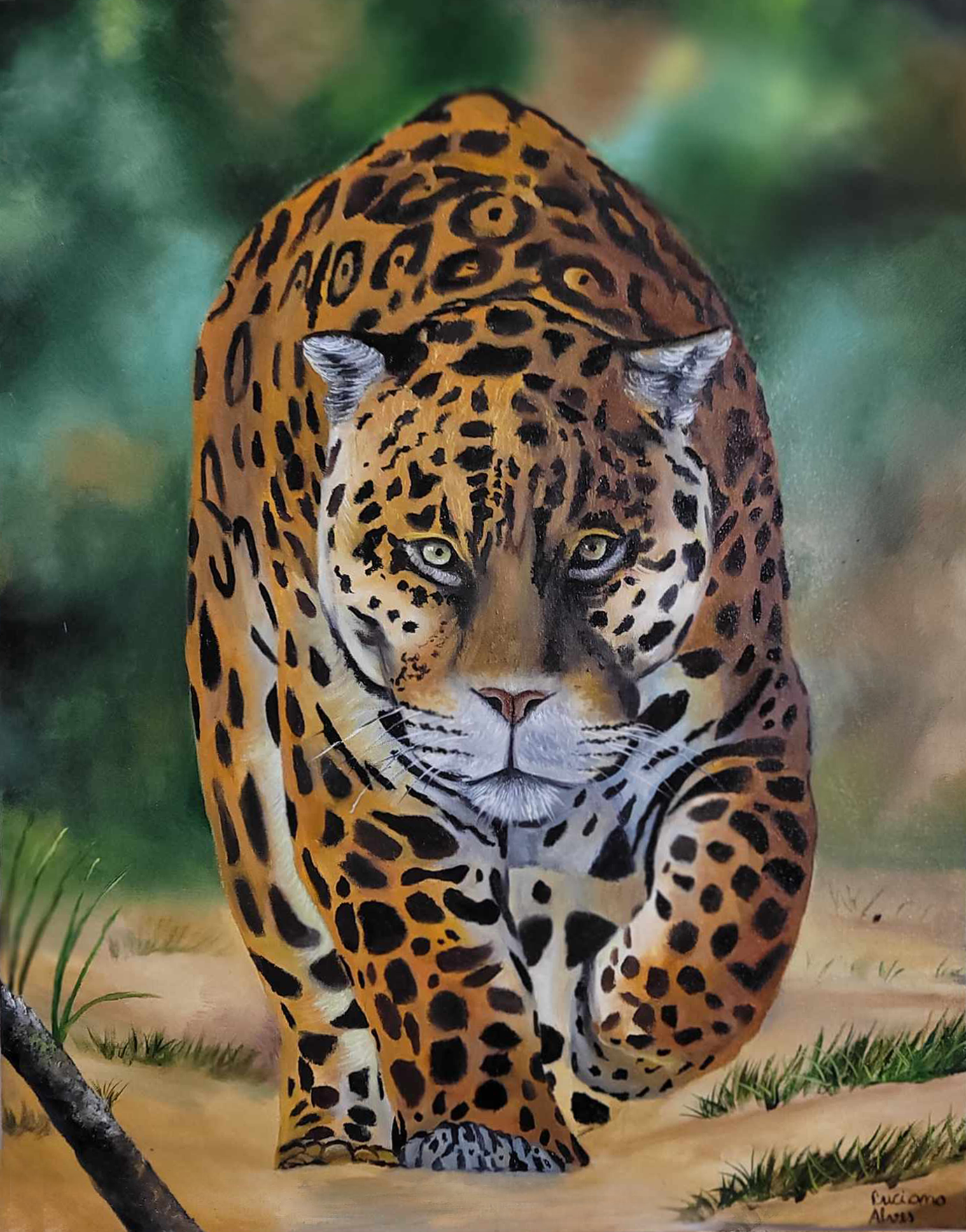 Luciano Alves - Onça pintada